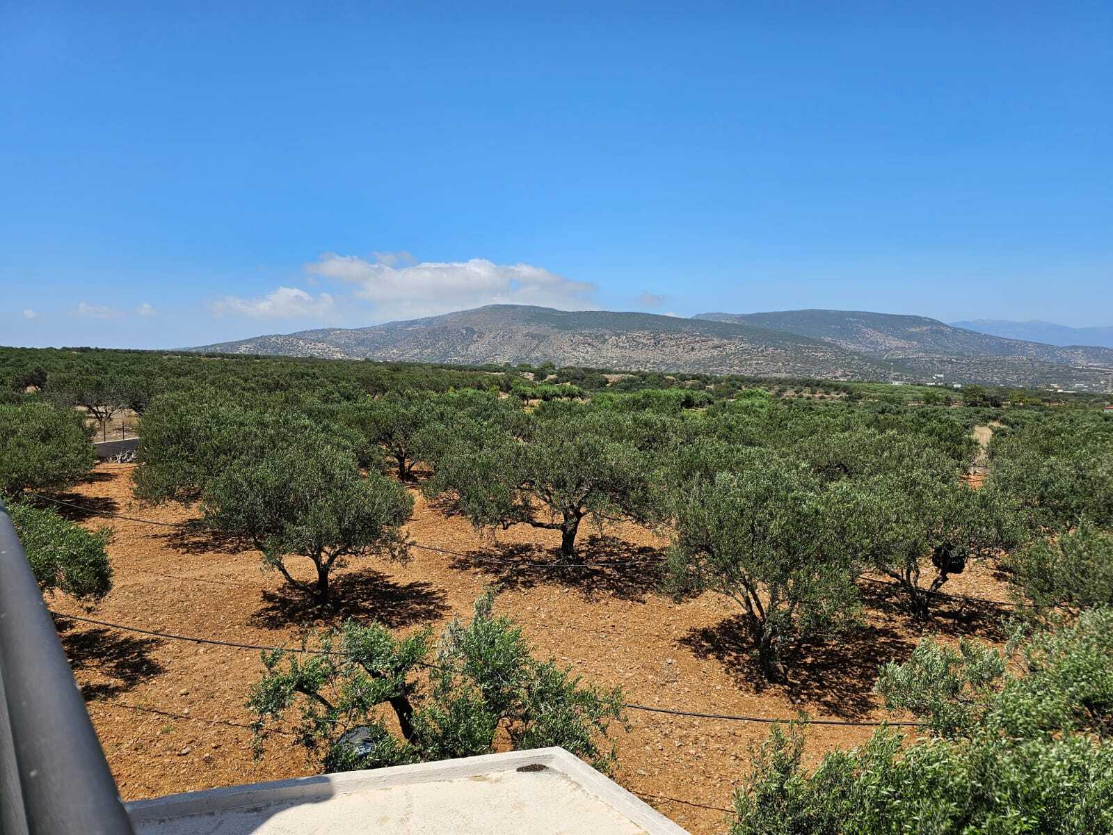 Villa — 200 m² — Crete | Grekodom Ref. 54729 — photograph 17, supplied by Grekodom Development Crete